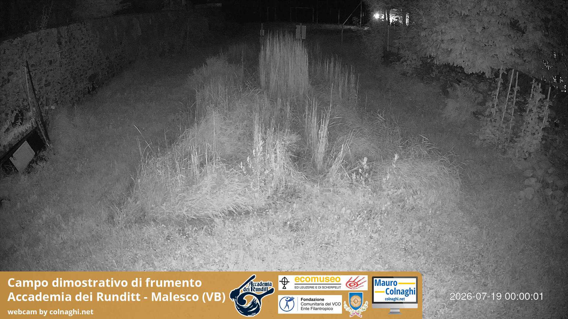 time-lapse frame, Grano webcam