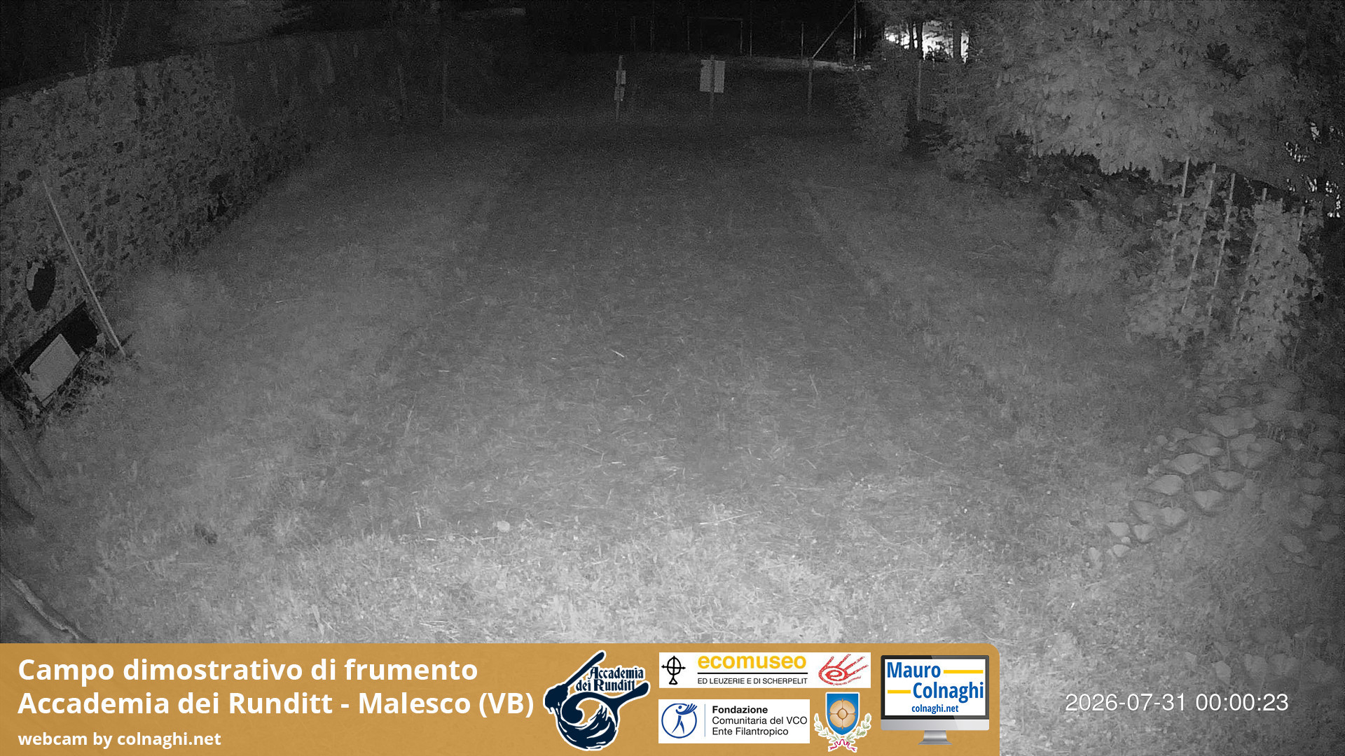time-lapse frame, Grano webcam