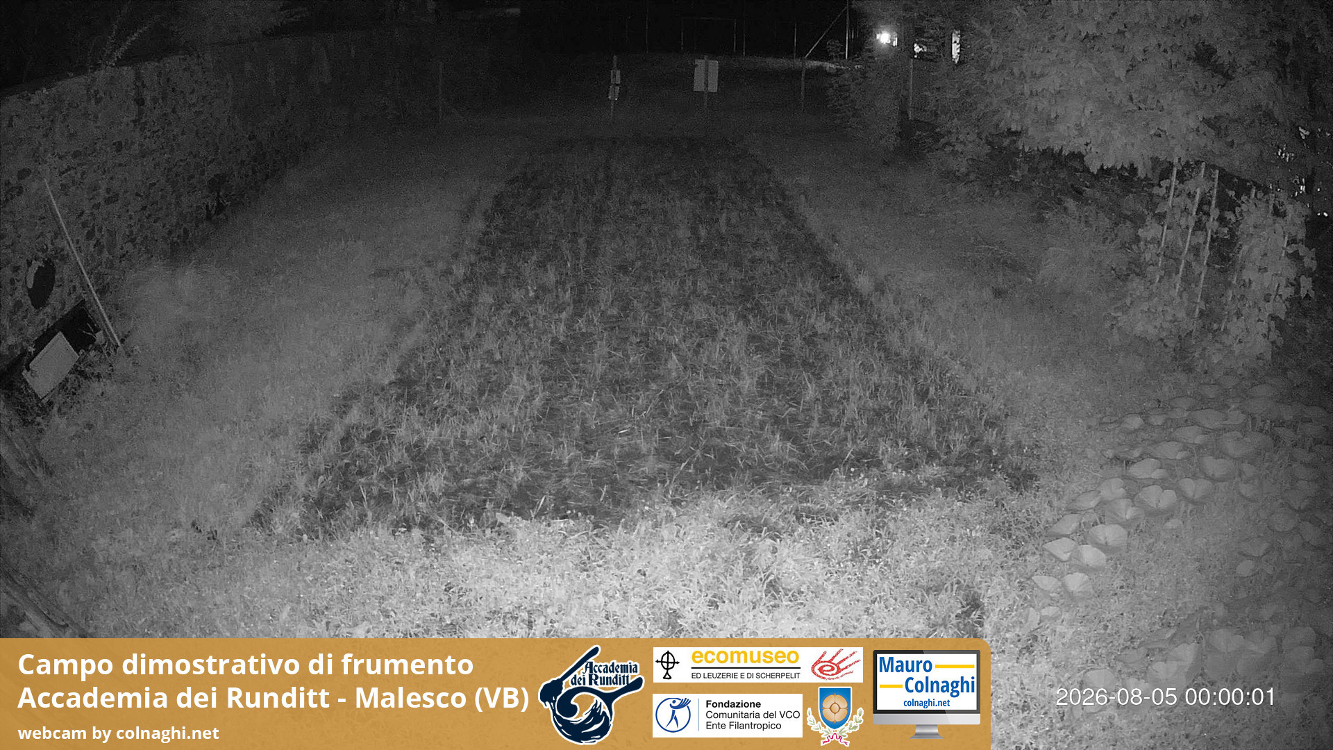 time-lapse frame, Grano webcam
