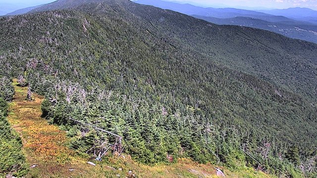 view from Sugarbush Lincoln Peak Scenic on 2026-08-21