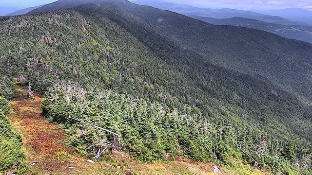 view from Sugarbush Lincoln Peak Scenic on 2026-09-01