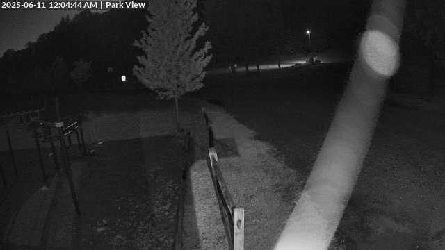time-lapse frame, Inlet Fern Park Sledding webcam
