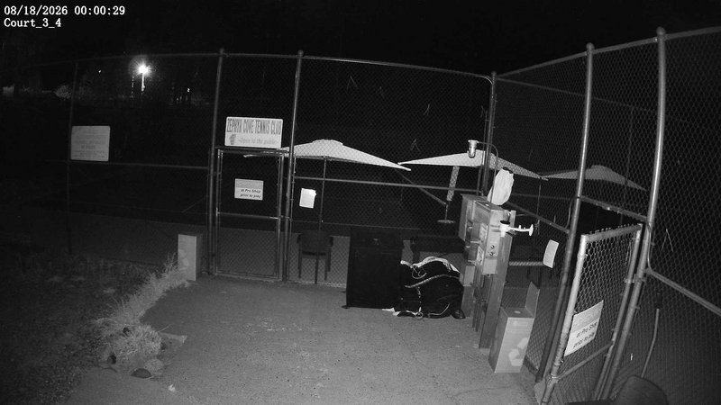 time-lapse frame, ZCTC cts 3 4 webcam