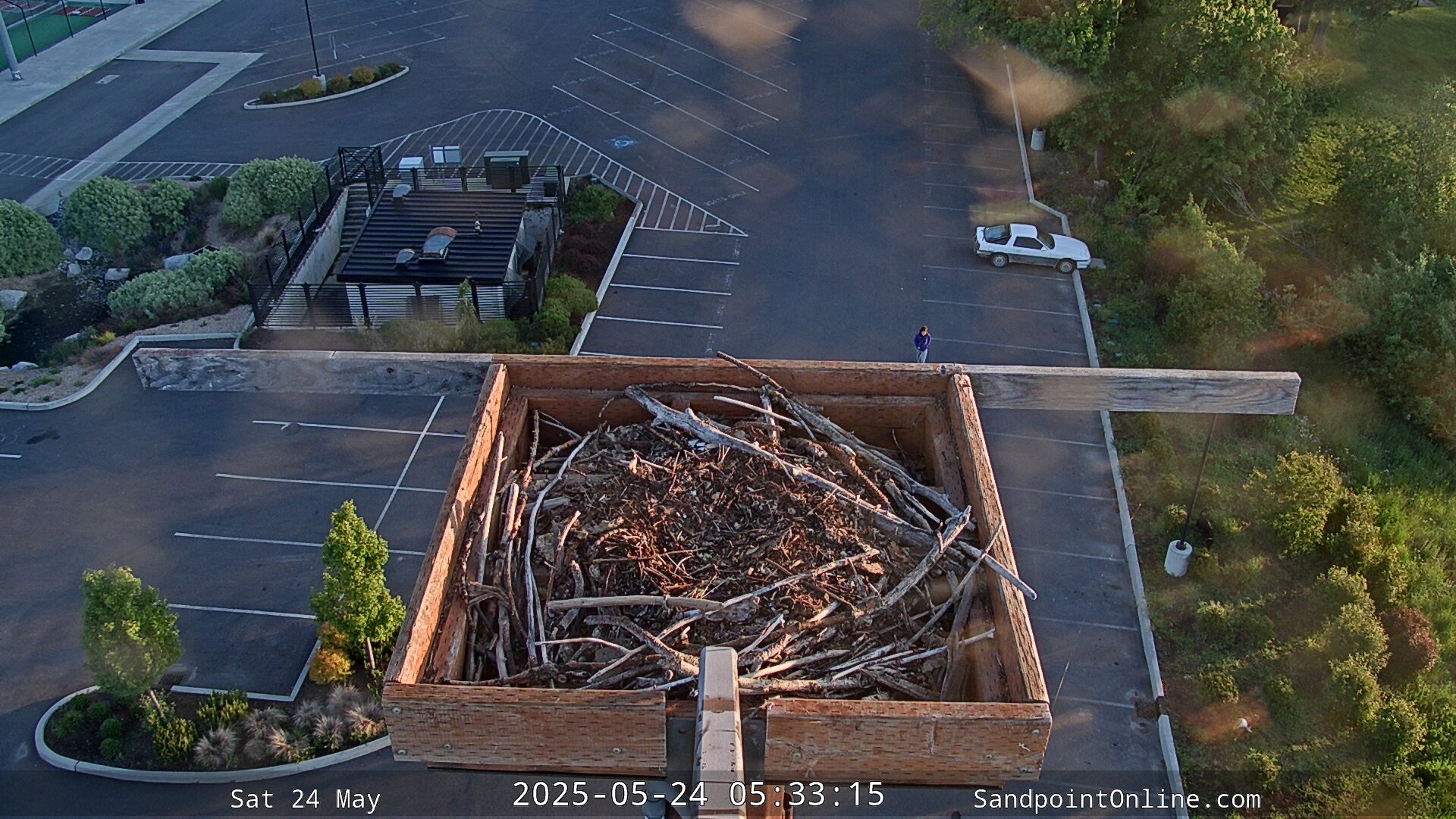 time-lapse frame, Sandpoint Online - Osprey Nest Time-lapse webcam