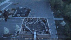 view from Sandpoint Online - Osprey Nest Time-lapse on 2026-04-26
