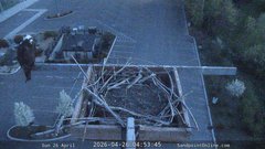 view from Sandpoint Online - Osprey Nest Time-lapse on 2026-04-26
