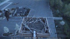 view from Sandpoint Online - Osprey Nest Time-lapse on 2026-04-26