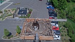 view from Sandpoint Online - Osprey Nest Time-lapse on 2026-05-09