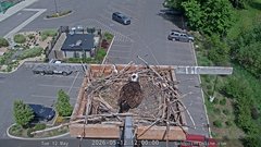 view from Sandpoint Online - Osprey Nest Time-lapse on 2026-05-12