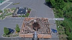 view from Sandpoint Online - Osprey Nest Time-lapse on 2026-05-18