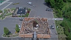 view from Sandpoint Online - Osprey Nest Time-lapse on 2026-05-20