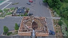 view from Sandpoint Online - Osprey Nest Time-lapse on 2026-06-03