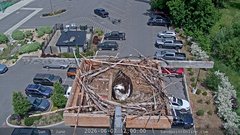 view from Sandpoint Online - Osprey Nest Time-lapse on 2026-06-07