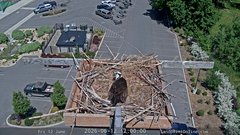 view from Sandpoint Online - Osprey Nest Time-lapse on 2026-06-12