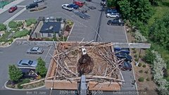 view from Sandpoint Online - Osprey Nest Time-lapse on 2026-06-15
