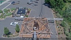 view from Sandpoint Online - Osprey Nest Time-lapse on 2026-06-16