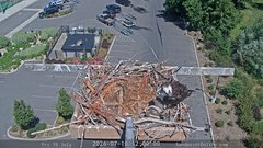 view from Sandpoint Online - Osprey Nest Time-lapse on 2026-07-10