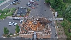 view from Sandpoint Online - Osprey Nest Time-lapse on 2026-07-12