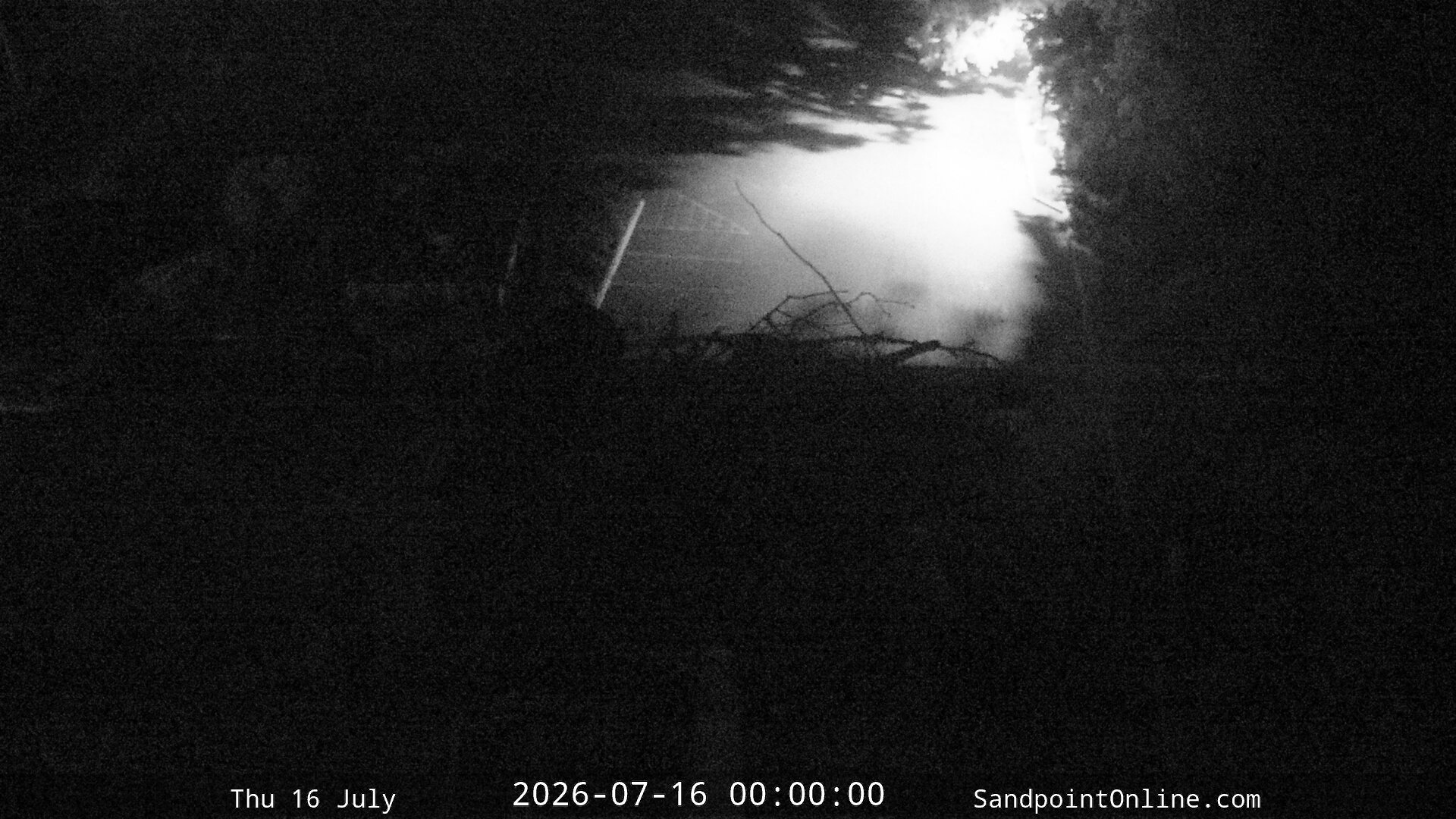 time-lapse frame, Sandpoint Online - Osprey Nest Time-lapse webcam