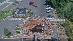 view from Sandpoint Online - Osprey Nest Time-lapse on 2026-07-27