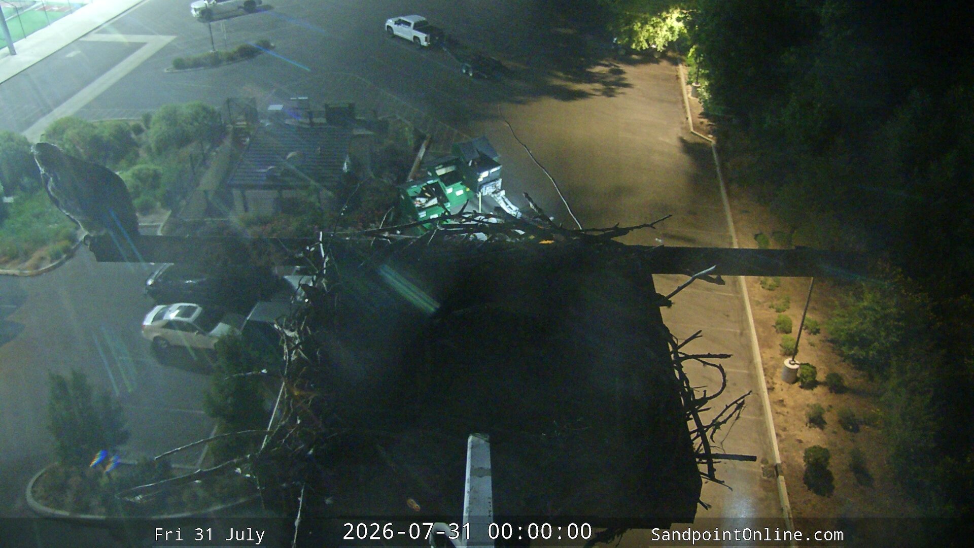 time-lapse frame, Sandpoint Online - Osprey Nest Time-lapse webcam