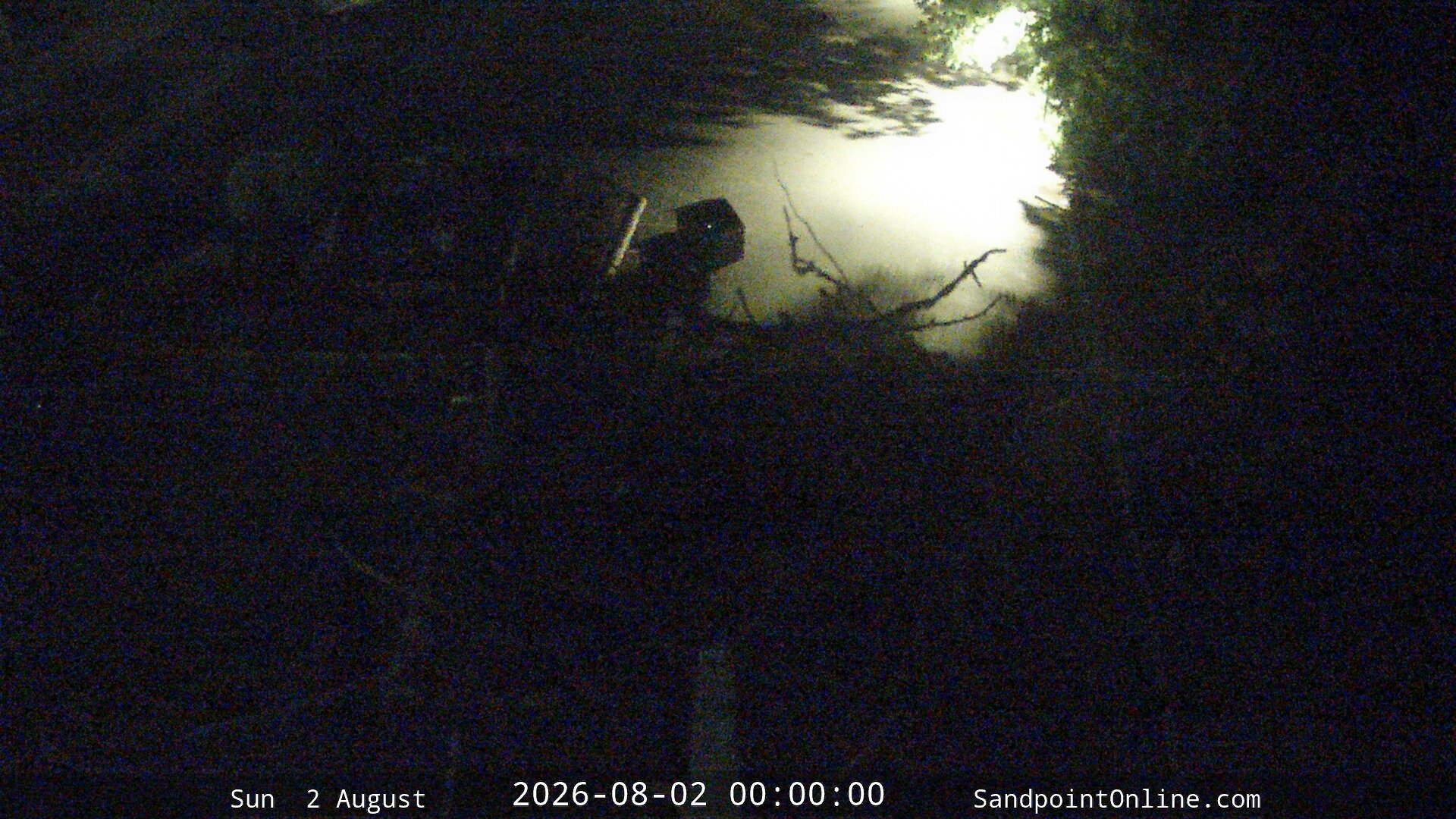 time-lapse frame, Sandpoint Online - Osprey Nest Time-lapse webcam
