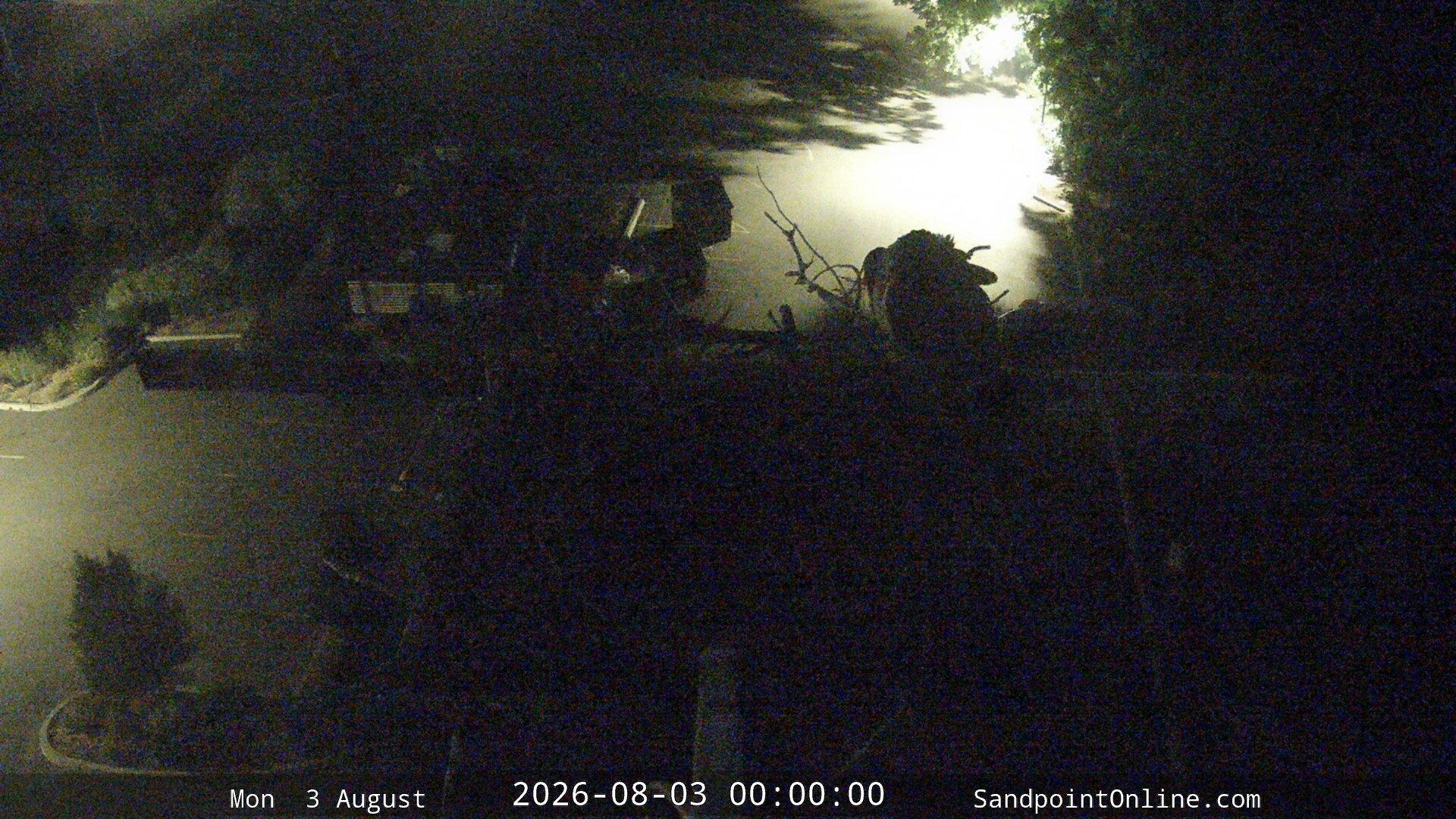 time-lapse frame, Sandpoint Online - Osprey Nest Time-lapse webcam