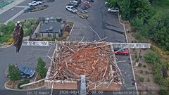 view from Sandpoint Online - Osprey Nest Time-lapse on 2026-08-15