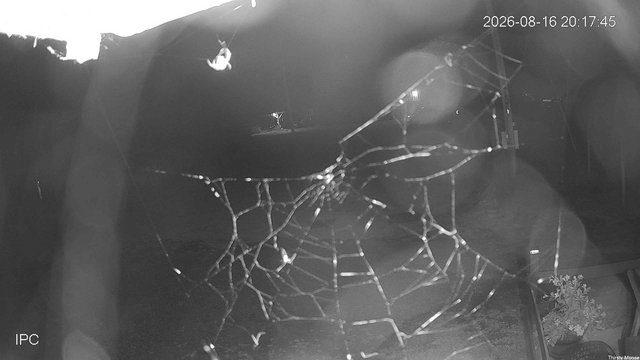 time-lapse frame, Thirsty Moose webcam