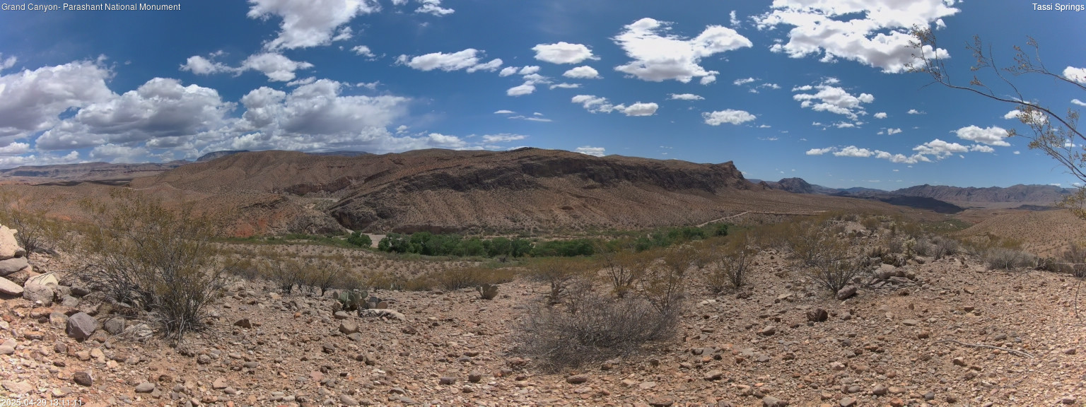 time-lapse frame, Tassi Springs webcam