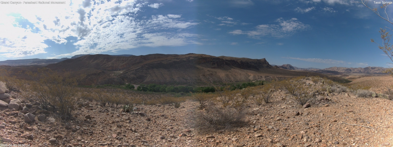 time-lapse frame, Tassi Springs webcam