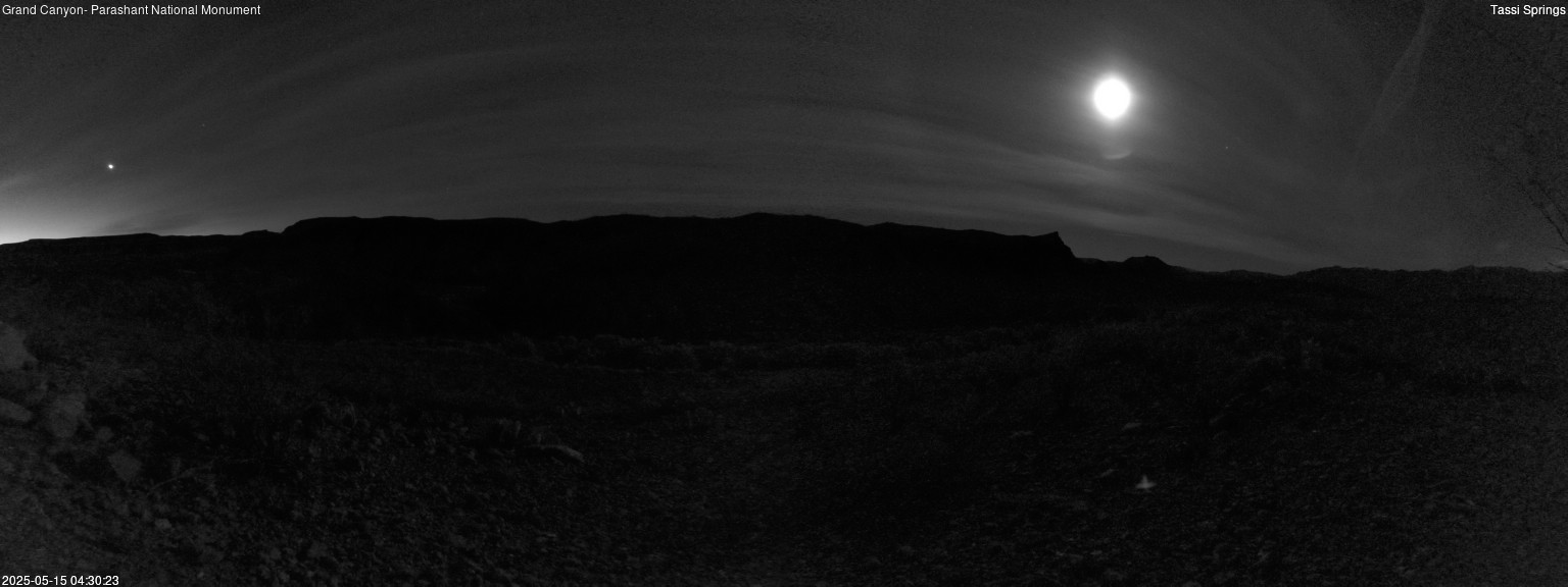 time-lapse frame, Tassi Springs webcam