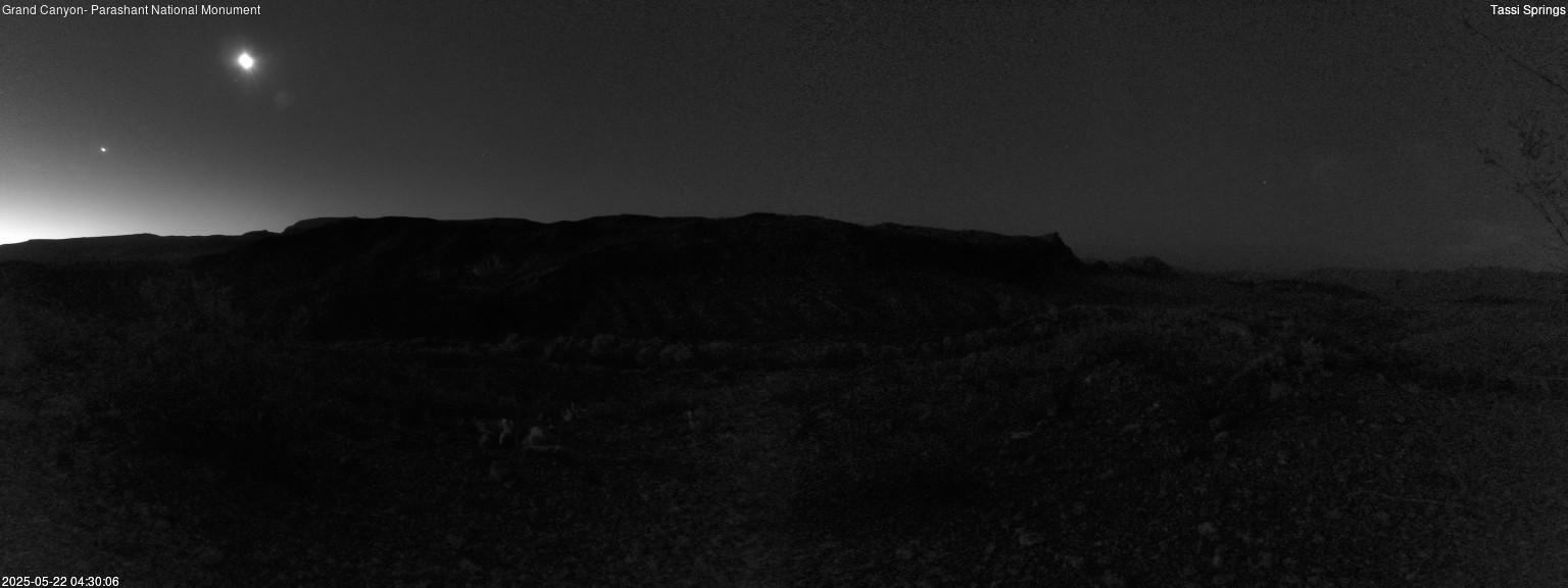 time-lapse frame, Tassi Springs webcam