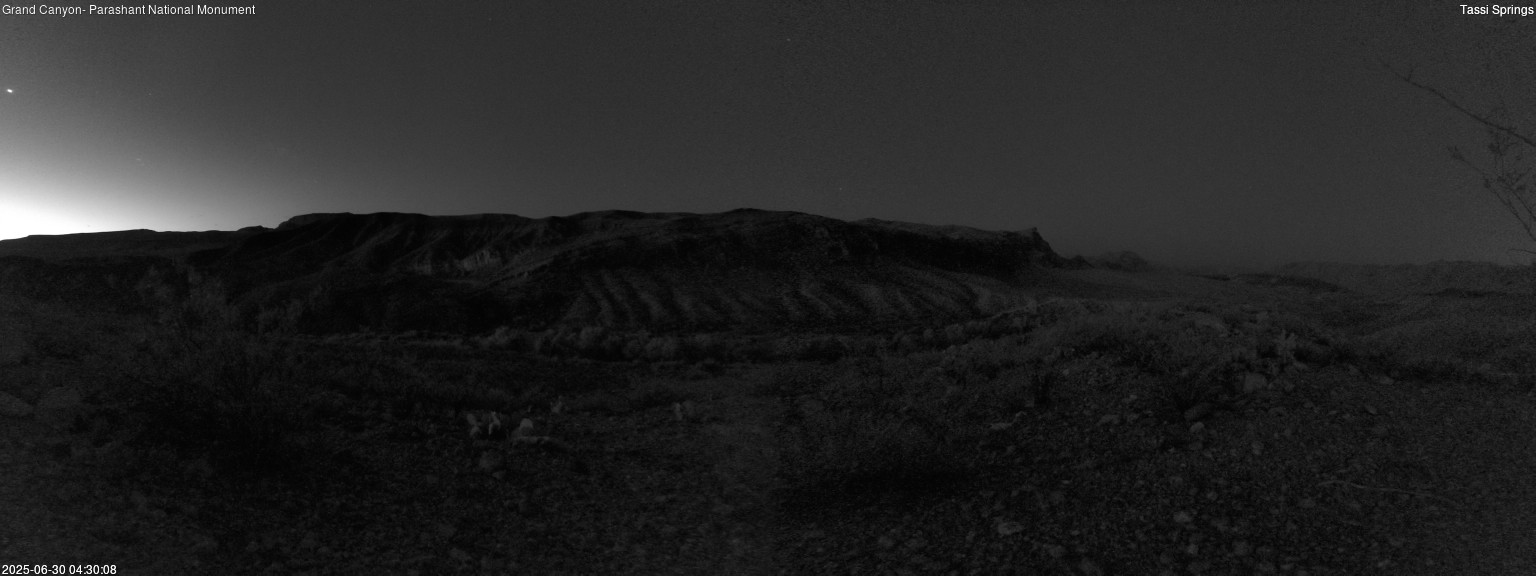 time-lapse frame, Tassi Springs webcam