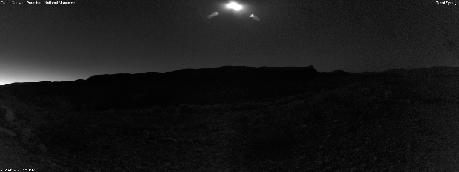 time-lapse frame, Tassi Springs webcam
