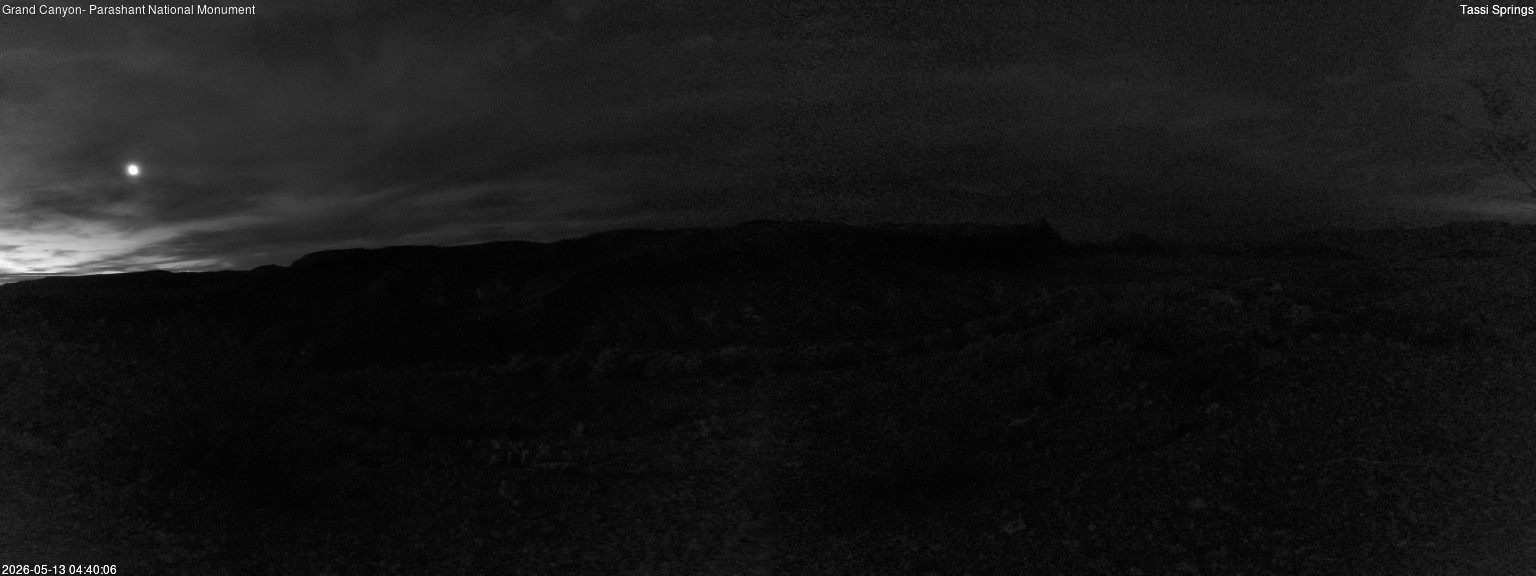 time-lapse frame, Tassi Springs webcam