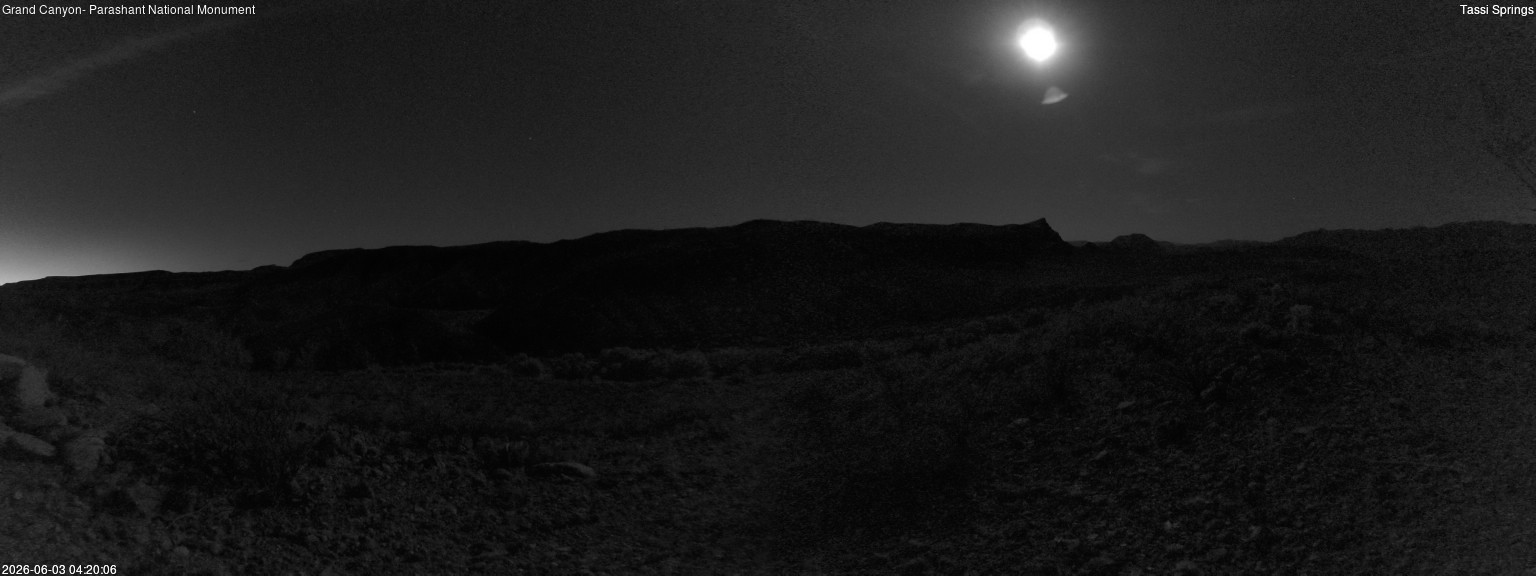 time-lapse frame, Tassi Springs webcam