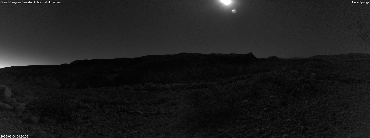 time-lapse frame, Tassi Springs webcam