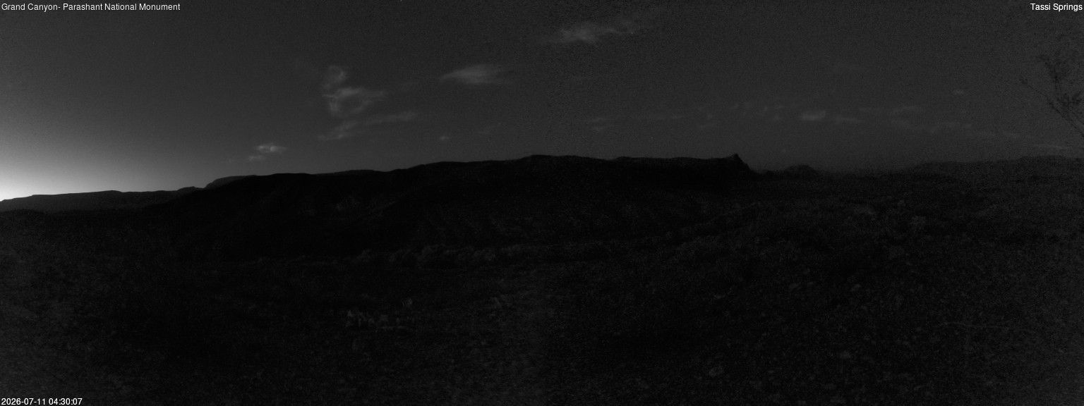 time-lapse frame, Tassi Springs webcam