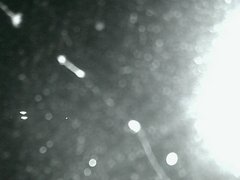 view from Cowes Yacht Club - North on 2026-04-18