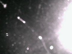 view from Cowes Yacht Club - North on 2026-04-22