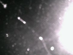 view from Cowes Yacht Club - North on 2026-04-22