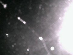 view from Cowes Yacht Club - North on 2026-04-23