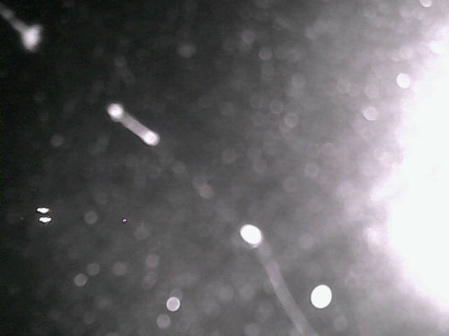 time-lapse frame, Cowes Yacht Club - North webcam