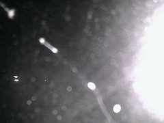 view from Cowes Yacht Club - North on 2026-04-30