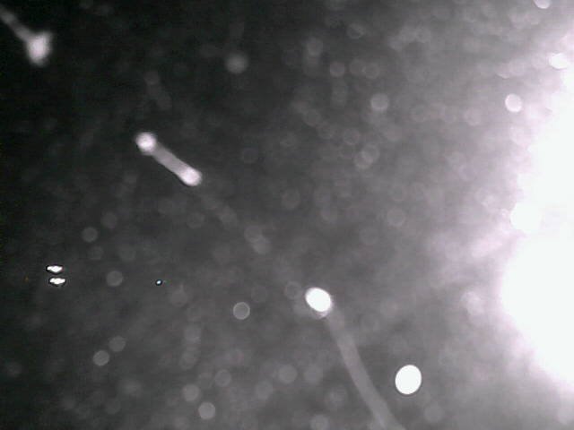 time-lapse frame, Cowes Yacht Club - North webcam