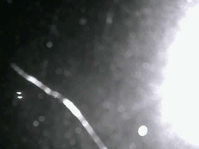 time-lapse frame, Cowes Yacht Club - North webcam