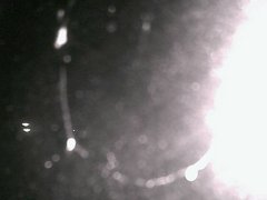 view from Cowes Yacht Club - North on 2026-06-18
