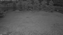 view from InletSnow.com on 2026-06-15