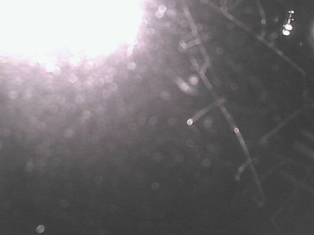 time-lapse frame, Cowes Yacht Club - West webcam